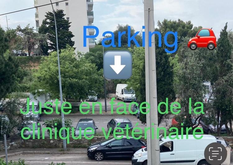 Location Chambre Avec Salle De Bain Et Partie Commune Sea View & Mountain View Renting 1 Of 3 Bedrooms With Shared Common Space 3 Bdrm Apt Not 1 Bdrm Plus Clime Ou Ac Coventry Exterior foto